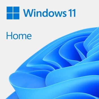 Windows 11 Home ESD